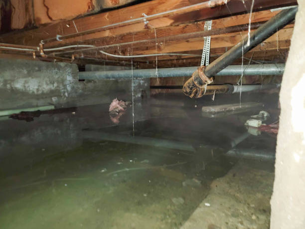 Best Fire Damage Restoration  in Grand Prairie, TX