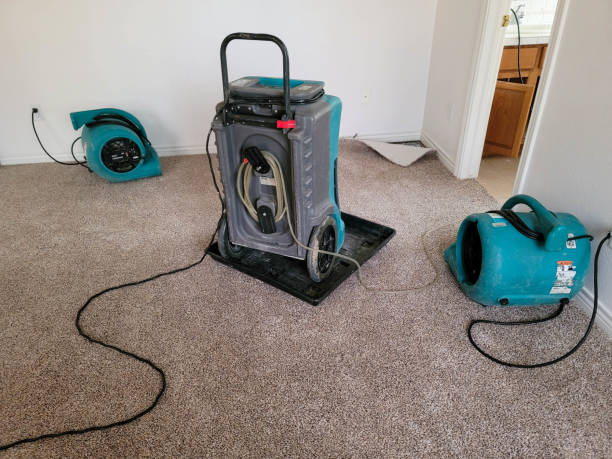 Best Carpet water damage restoration  in Grand Prairie, TX