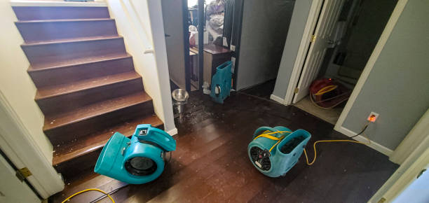 Best Basement water damage restoration  in Grand Prairie, TX