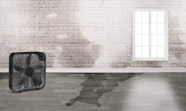 Best Water damage restoration specialists  in Grand Prairie, TX