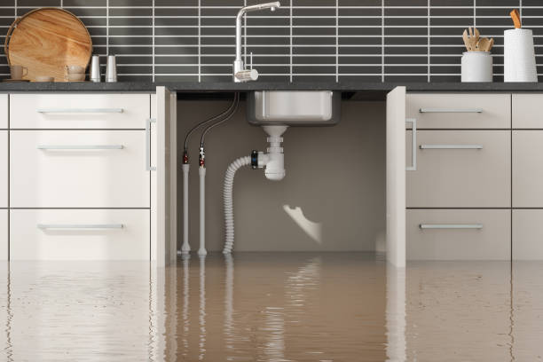 Best Flood damage cleanup  in Grand Prairie, TX