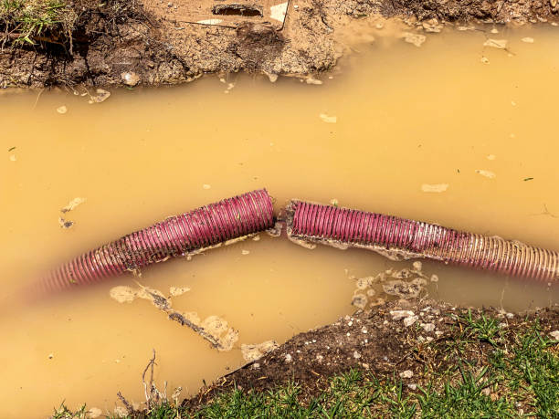 Best Sewage cleanup and water damage restoration  in Grand Prairie, TX